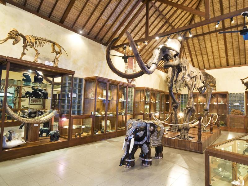 Mason Elephant Lodge Ubud  Luaran gambar