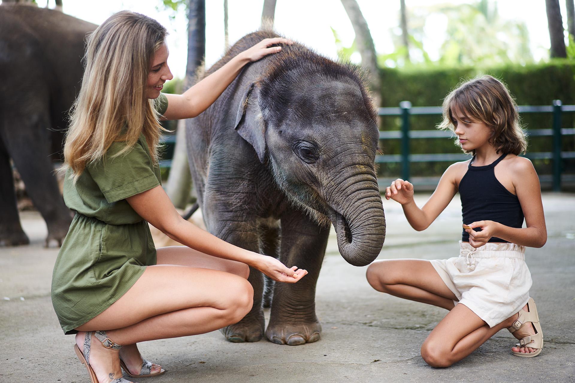 Mason Elephant Lodge Ubud  Luaran gambar