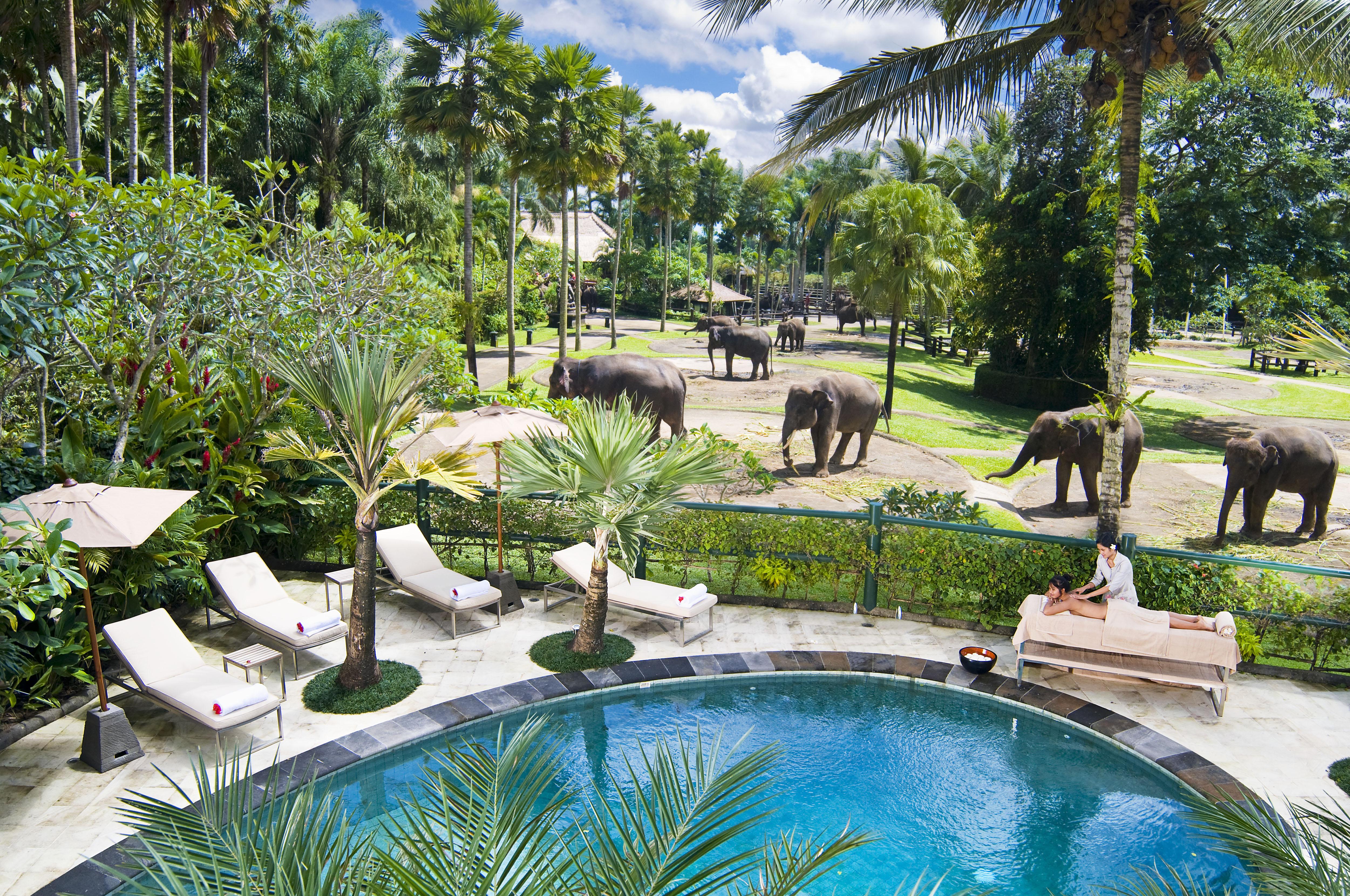 Mason Elephant Lodge Ubud  Luaran gambar