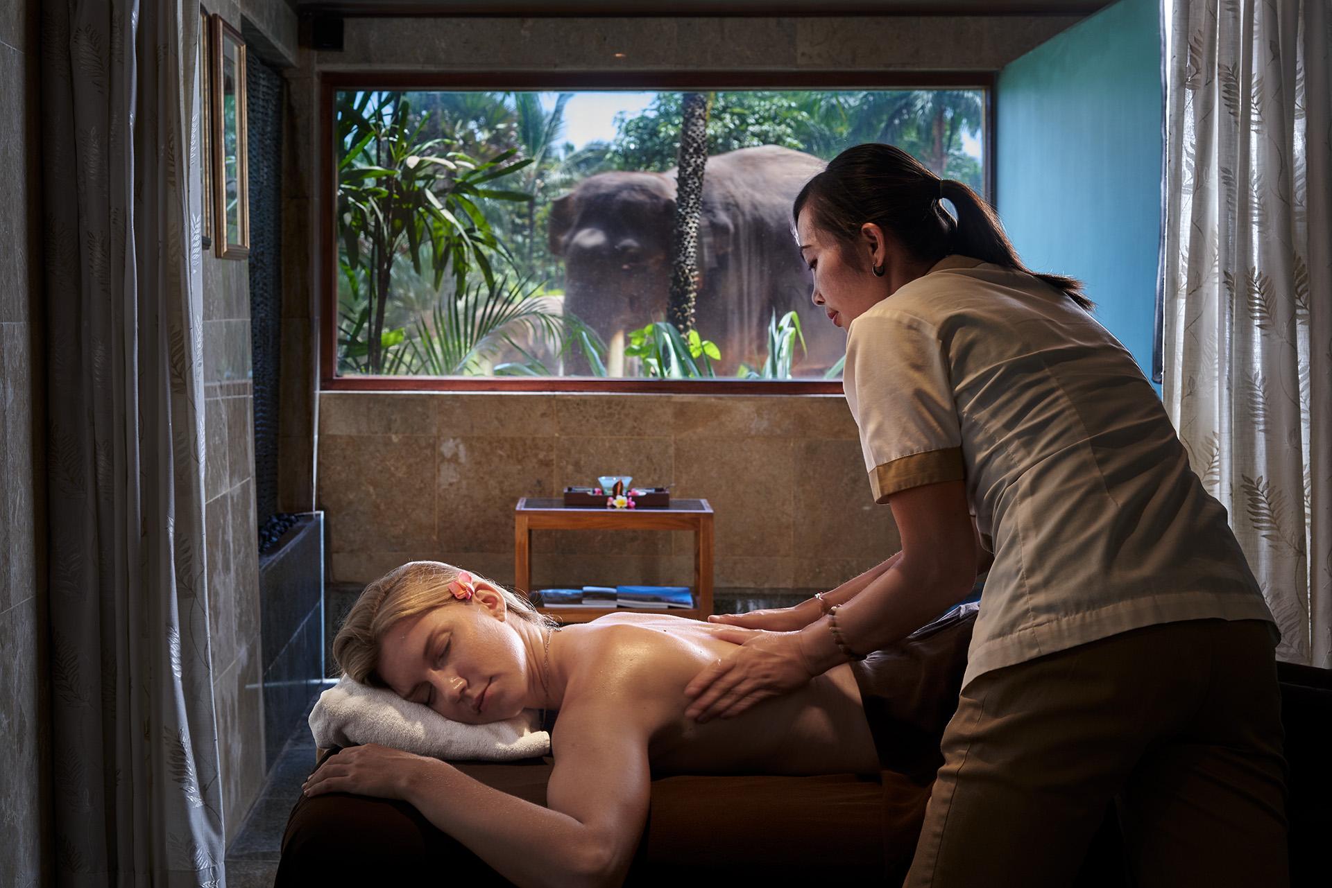Mason Elephant Lodge Ubud  Luaran gambar