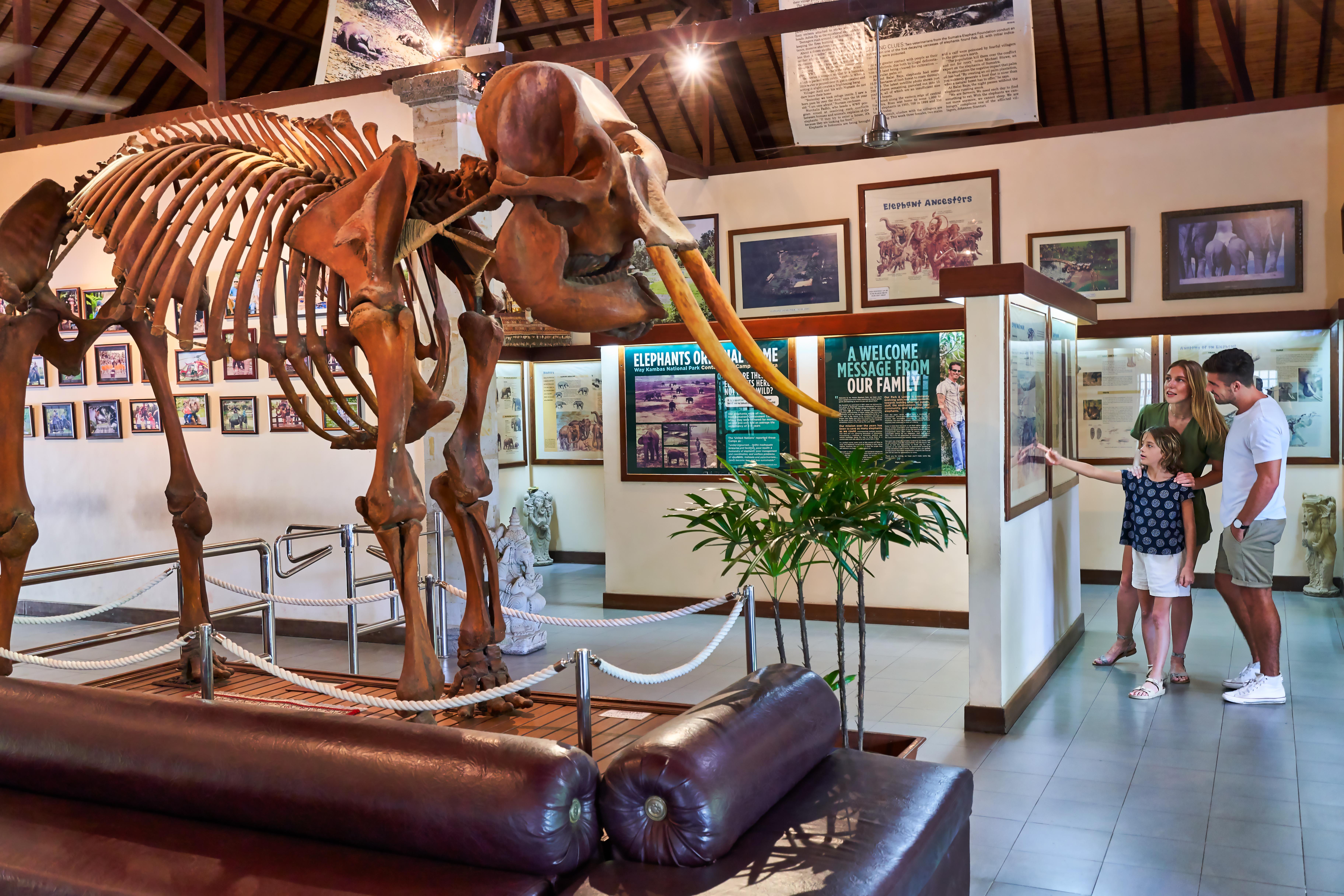 Mason Elephant Lodge Ubud  Luaran gambar