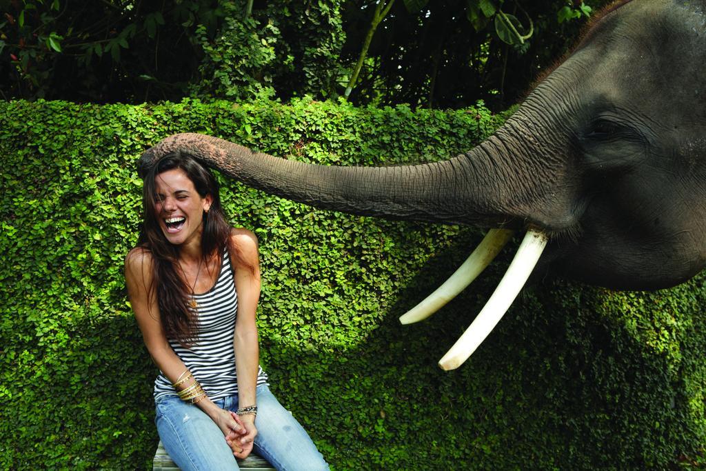 Mason Elephant Lodge Ubud  Luaran gambar