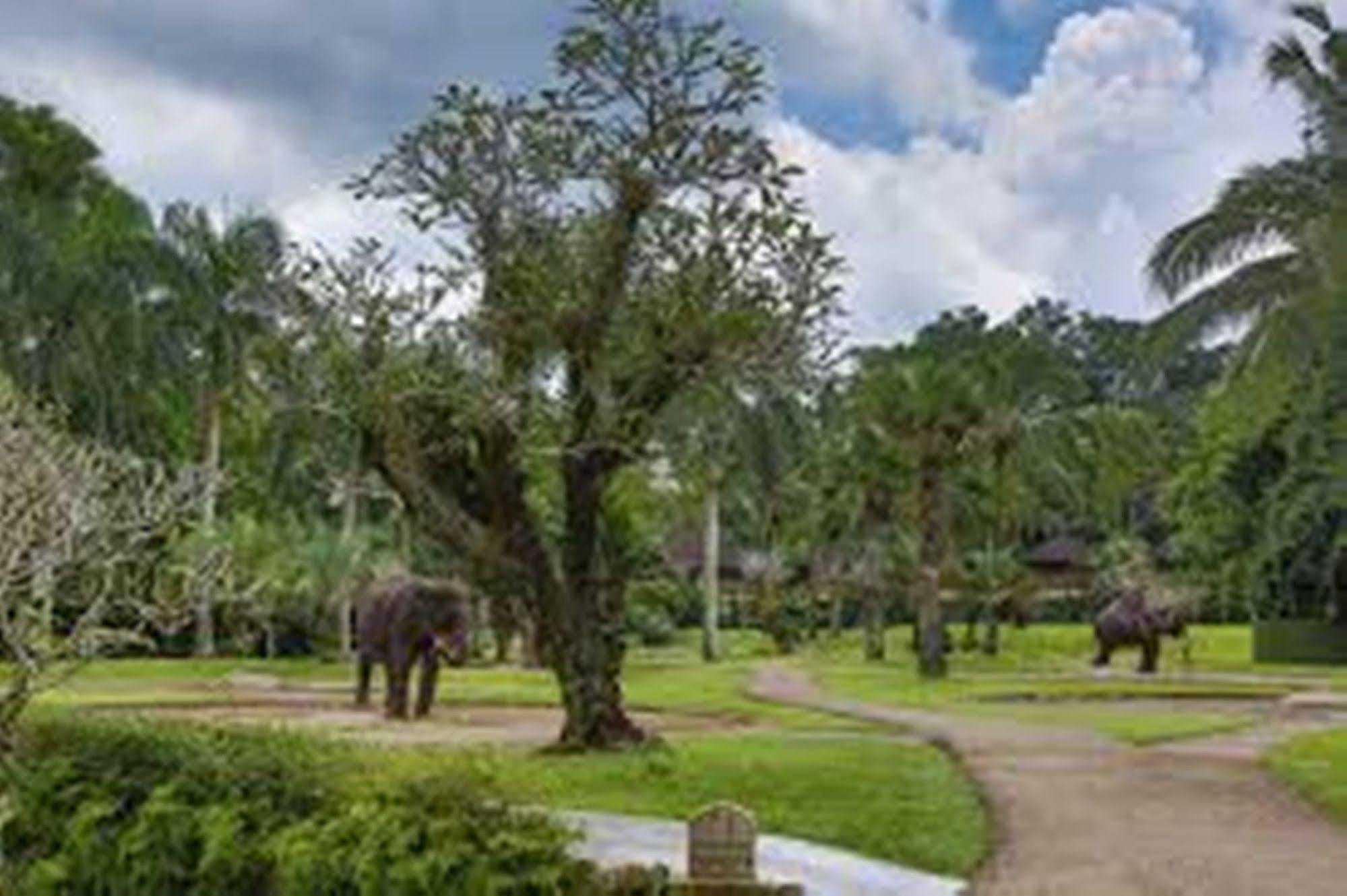 Mason Elephant Lodge Ubud  Luaran gambar