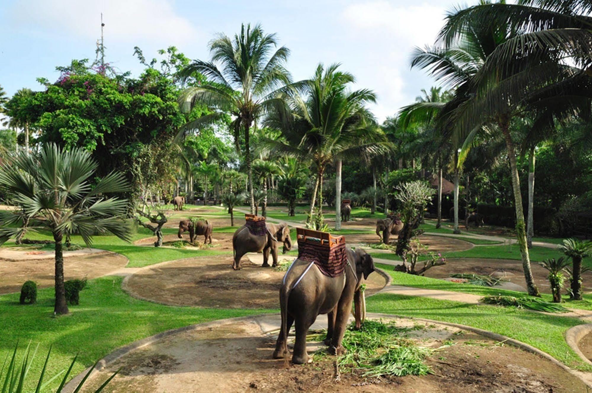Mason Elephant Lodge Ubud  Luaran gambar