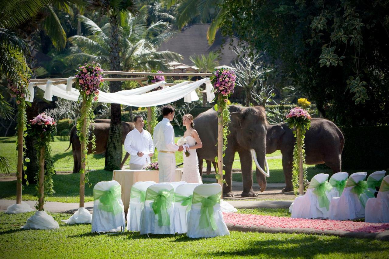 Mason Elephant Lodge Ubud  Luaran gambar